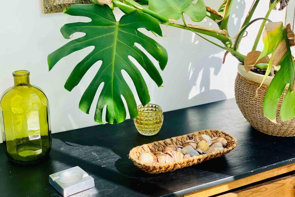 Begonia City Center Apartment 230 By Namaste Elite Torremolinos Eksteriør bilde